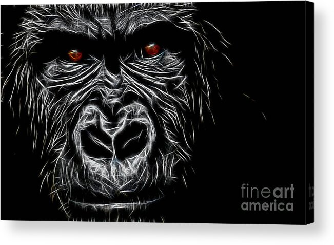 Ape Acrylic Print featuring the mixed media Ape Collection #2 by Marvin Blaine