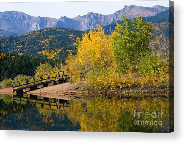 Pikes Peak Acrylic Print featuring the photograph Autumn Aspen at Crystal Creek Reservoir Pikes Peak #2 by Steven Krull