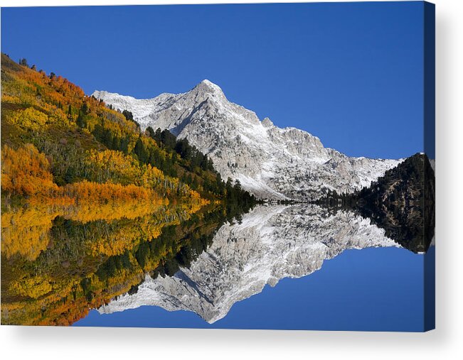 Autumn Acrylic Print featuring the photograph Autumn Splender by Mark Smith