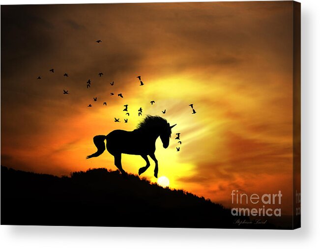 Unicorn Acrylic Print featuring the photograph Believe #1 by Stephanie Laird