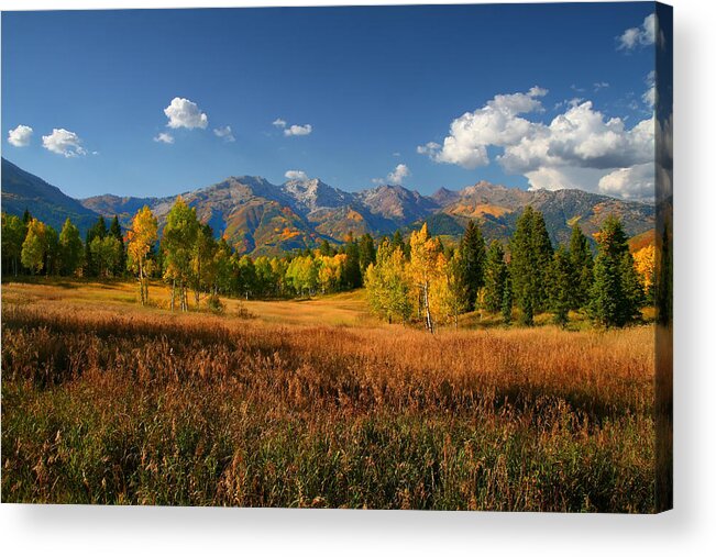 Autumn Acrylic Print featuring the photograph Fall Colors #2 by Mark Smith