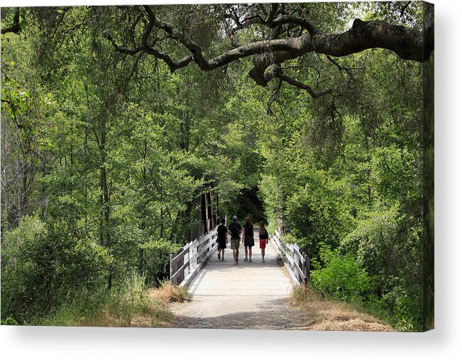 Sunol Ohlone Regional Wilderness Acrylic Print featuring the photograph Family #2 by Laurie Search