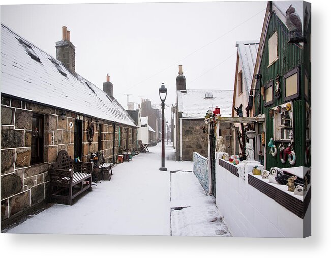 Fittie Acrylic Print featuring the photograph Fittie in the Snow #2 by Veli Bariskan