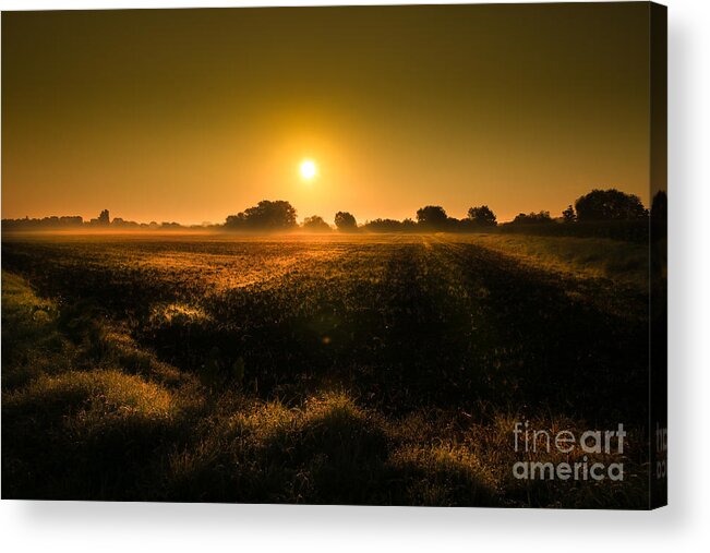 Tree Acrylic Print featuring the photograph Foggy Morning #2 by Franziskus Pfleghart