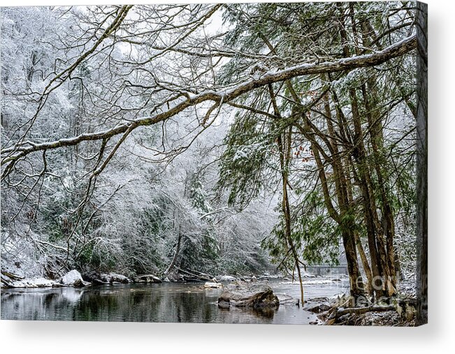 Cranberry River Acrylic Print featuring the photograph March Snow along Cranberry River #2 by Thomas R Fletcher