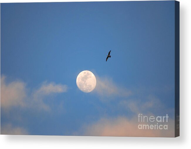  Moon Acrylic Print featuring the photograph 2- Moon Bird by Joseph Keane