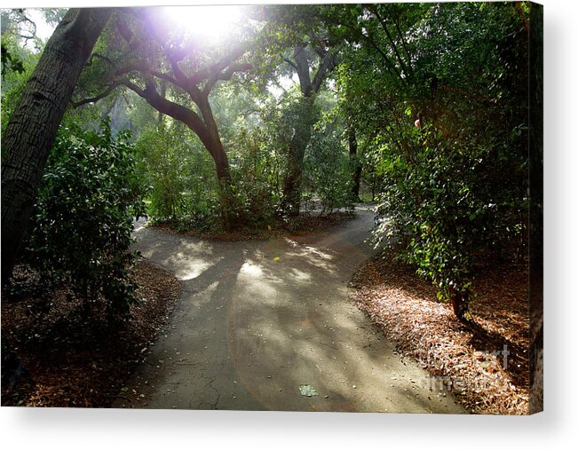 Nature Acrylic Print featuring the photograph 2 Paths by Dean Triolo