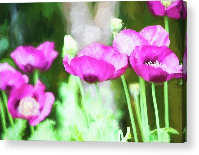 Painted Photo Acrylic Print featuring the painting Poppies #2 by Bonnie Bruno