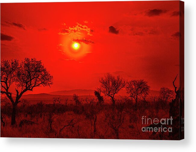Africa Sunsets Acrylic Print featuring the photograph Red Sunset #2 by Rick Bragan