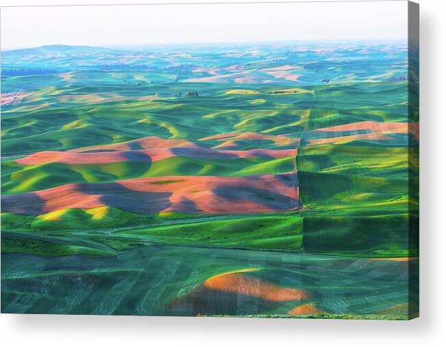 Landscape Acrylic Print featuring the photograph Rolling wheat field - Palouse #2 by Hisao Mogi