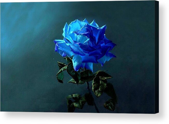 Rose Acrylic Print featuring the photograph Rose #2 by Jackie Russo
