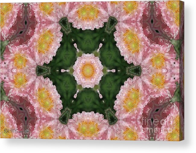 Mccombie Acrylic Print featuring the digital art Soft Pink and White Angel's Choir Mandala #1 by J McCombie