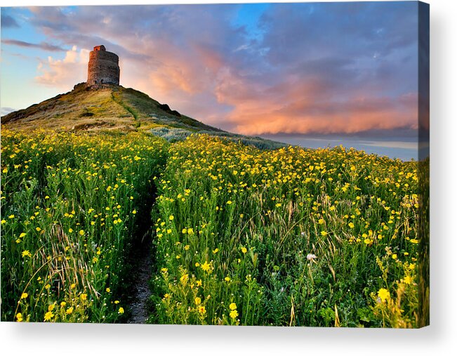 Sardinia Acrylic Print featuring the photograph Spring Flower Field With Trail To Castle Tower #2 by Dirk Ercken
