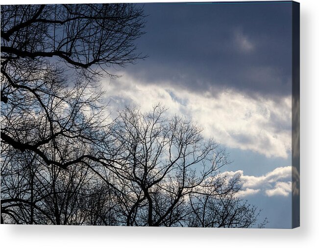 Spring Trees And Clouds Acrylic Print featuring the photograph Spring Trees and Clouds #20 by Robert Ullmann