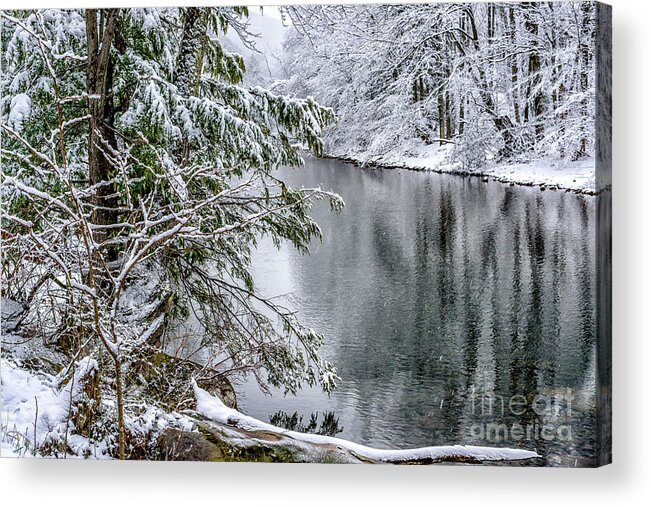 Cranberry River Acrylic Print featuring the photograph Winter along Cranberry River #20 by Thomas R Fletcher