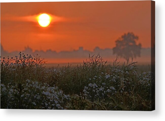 Sunset Acrylic Print featuring the photograph Sunset #21 by Mariel Mcmeeking