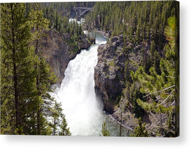 Wyoming Acrylic Print featuring the photograph Yellowstone National Park #22 by Mark Smith