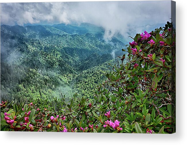 Trail Acrylic Print featuring the photograph Scenes Along Appalachian Trail In Great Smoky Mountains #23 by Alex Grichenko