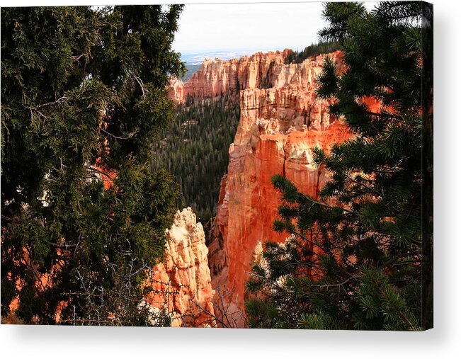 Bryce Canyon National Park Acrylic Print featuring the photograph Capitol Reef National Park #271 by Mark Smith