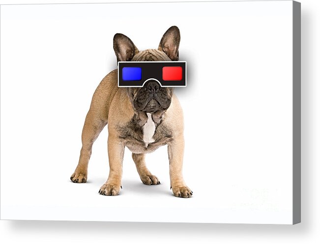 Dog Acrylic Print featuring the mixed media 3D Dog Collection by Marvin Blaine