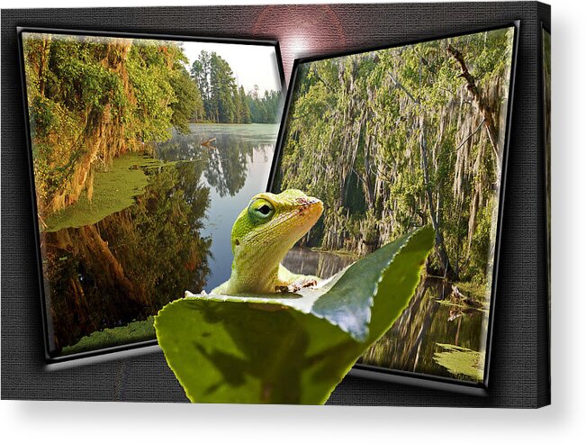 Digital Art Acrylic Print featuring the photograph 3-D Lizard by Michael Whitaker