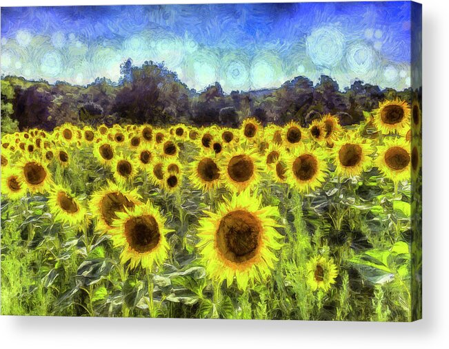 Van Gogh Acrylic Print featuring the photograph Van Gogh Sunflowers #3 by David Pyatt