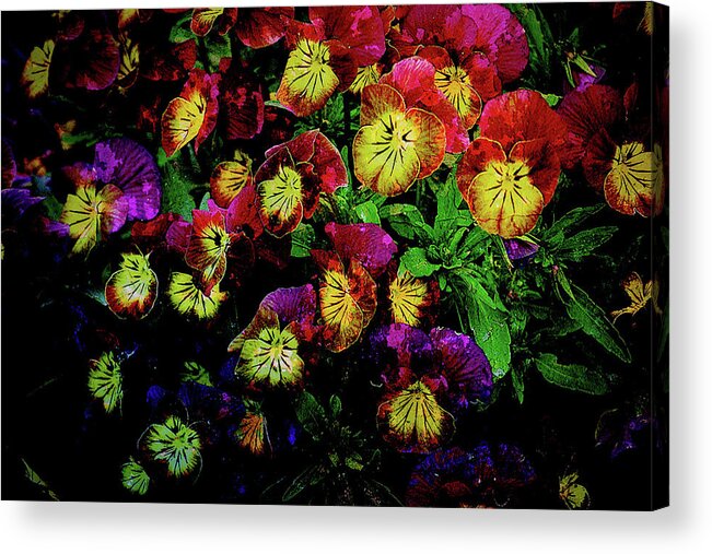 Texture Acrylic Print featuring the photograph Texture Flowers #31 by Prince Andre Faubert