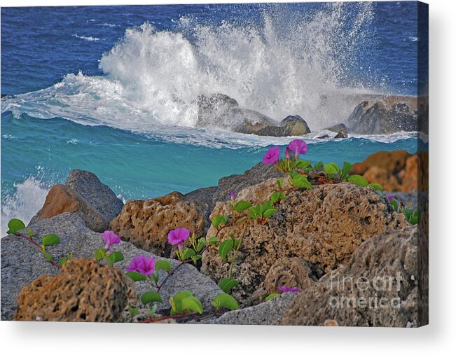 Singer Island Acrylic Print featuring the photograph 34- Beauty and Power by Joseph Keane