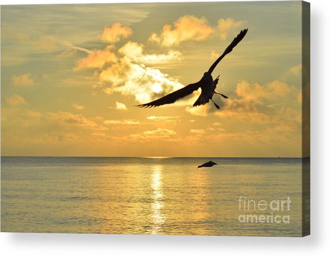 Naturaleza Acrylic Print featuring the photograph Alas de Amanecer #3 by Lenin Caraballo