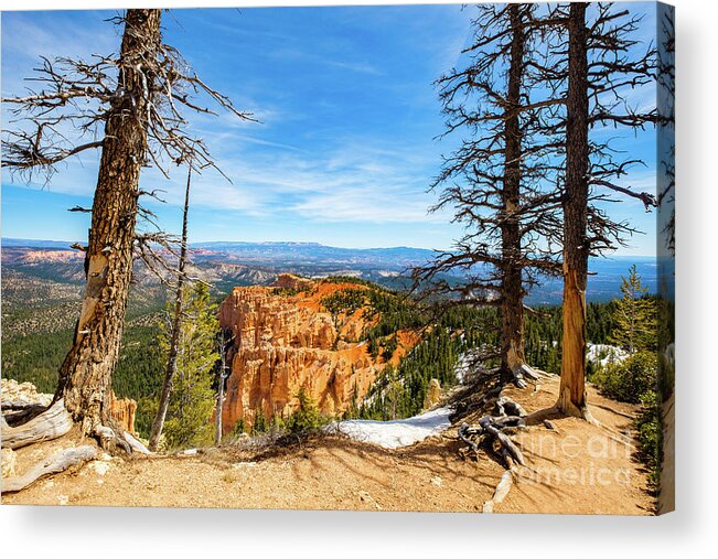 Bryce Canyon Acrylic Print featuring the photograph Bryce Canyon Utah #4 by Raul Rodriguez