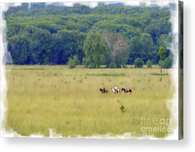 Cattle Acrylic Print featuring the photograph Cattle round up and drive in West Virginia #4 by Dan Friend