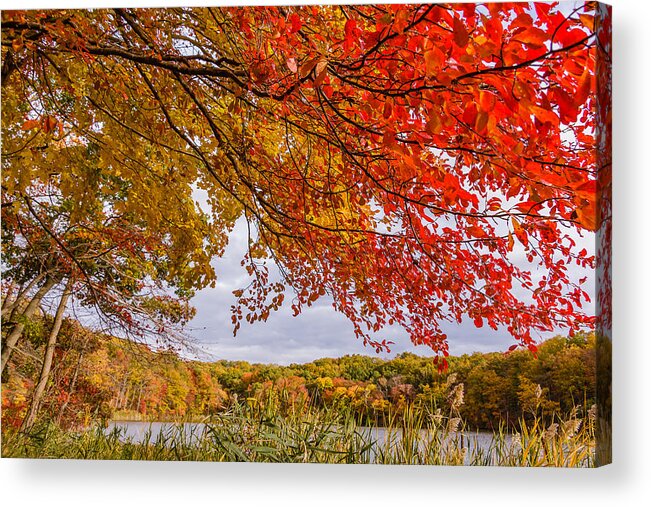 Park Acrylic Print featuring the photograph Fall foliage #4 by SAURAVphoto Online Store
