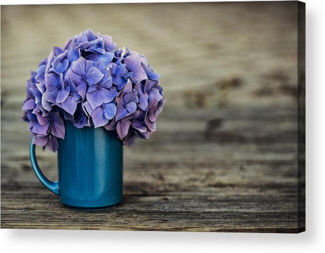 Hortensia Acrylic Print featuring the photograph Hortensia Flowers #4 by Nailia Schwarz