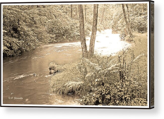 Mud Run Acrylic Print featuring the photograph Mud Run Pocono Mountain Stream Pennsylvania #4 by A Macarthur Gurmankin