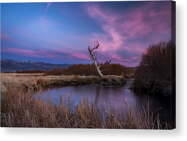 California Acrylic Print featuring the photograph Owens River Sunset #4 by Cat Connor