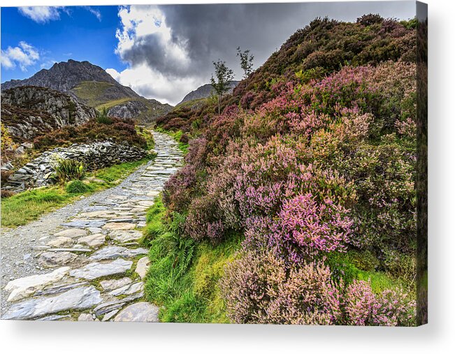 Snowdonia Acrylic Print featuring the photograph Snowdonia national park - #4 by Chris Smith