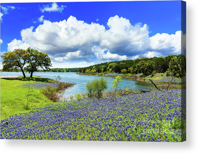 Austin Acrylic Print featuring the photograph Texas Hill Country #4 by Raul Rodriguez