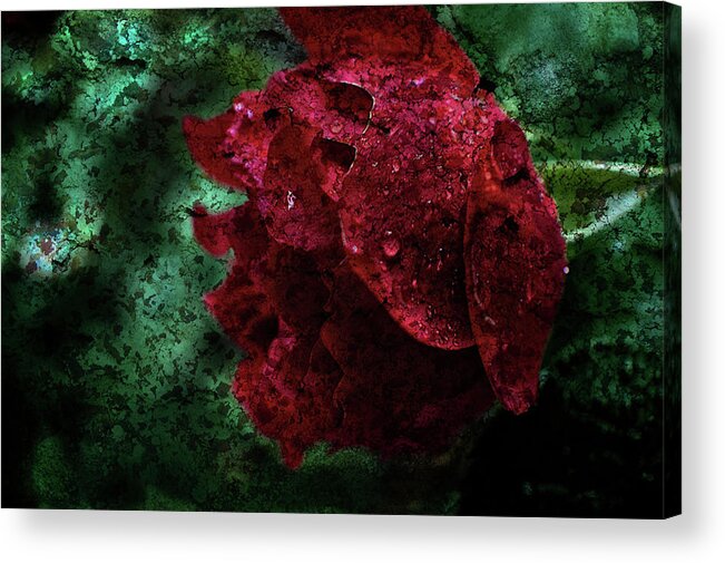 Texture Acrylic Print featuring the photograph Texture Flowers #41 by Prince Andre Faubert