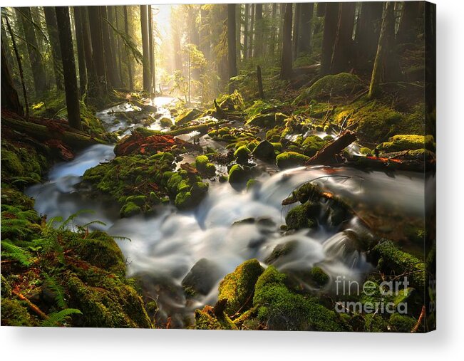 Sol Duc Acrylic Print featuring the photograph Streaming Through Sol Duc by Adam Jewell