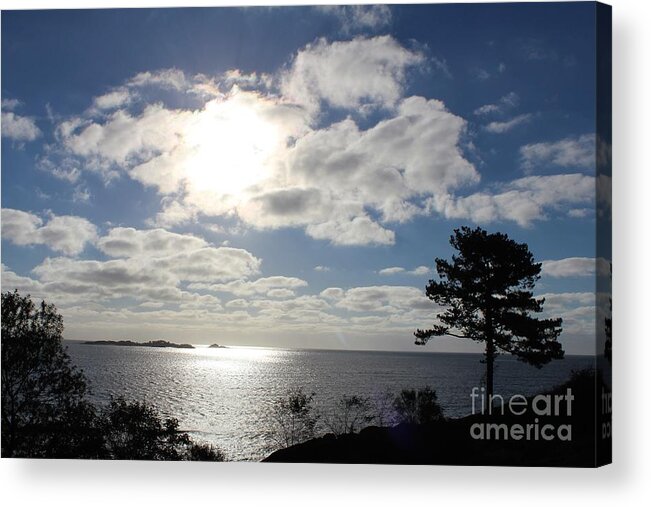 Peaches Point Acrylic Print featuring the photograph Marblehead MA #56 by Donn Ingemie