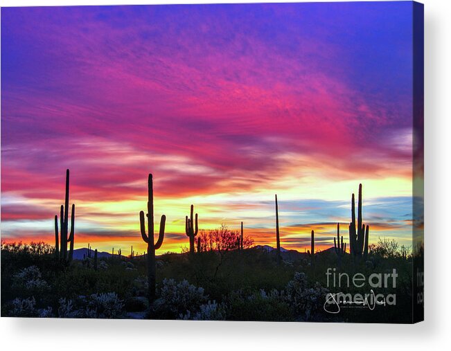 Sunrise Acrylic Print featuring the photograph 57th Birthday Sunrise by Joanne West