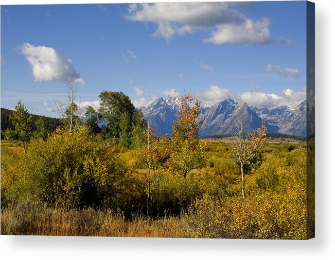 Autum Acrylic Print featuring the photograph Grand Tetons #6 by Mark Smith