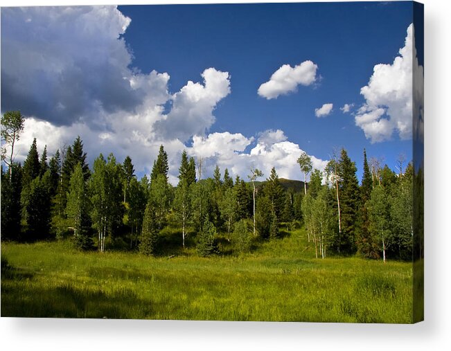Colors Acrylic Print featuring the photograph Rocky Mountains #6 by Mark Smith