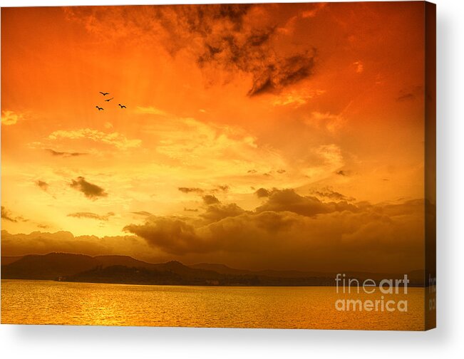 Sunset Acrylic Print featuring the photograph Sunset #6 by Charuhas Images