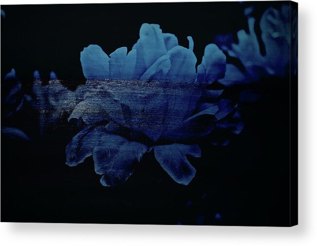 Texture Acrylic Print featuring the photograph Texture Flowers #6 by Prince Andre Faubert