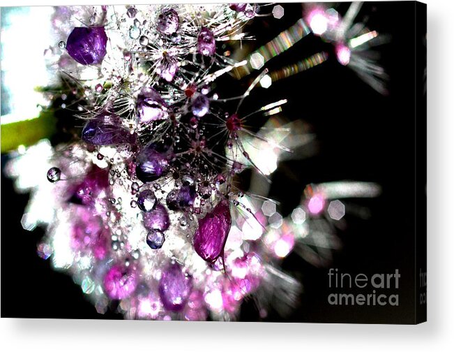 Crystal Acrylic Print featuring the photograph Crystal Flower #6 by Sylvie Leandre