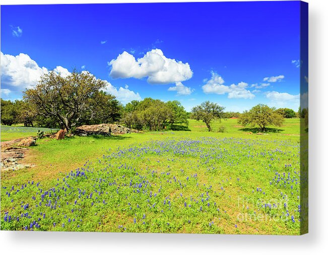 Austin Acrylic Print featuring the photograph Texas Hill Country #7 by Raul Rodriguez