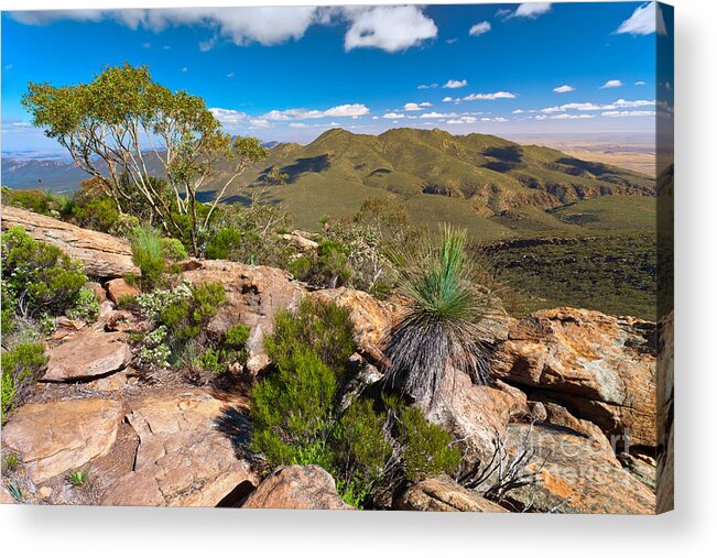 Wilpena Pound Flinders Ranges Outback Landscape Landscapes South Australia Australian Gum Trees Mountains Rock Outcrop Acrylic Print featuring the photograph Wilpena Pound #7 by Bill Robinson