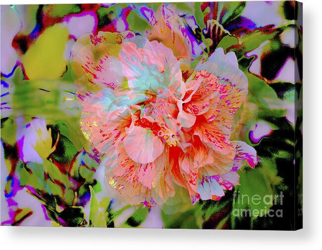Hibiscus Acrylic Print featuring the photograph 72- Hibiscus Dream by Joseph Keane