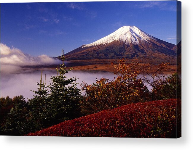 Japan Acrylic Print featuring the photograph Mount Fuji in Autumn #8 by Michele Burgess